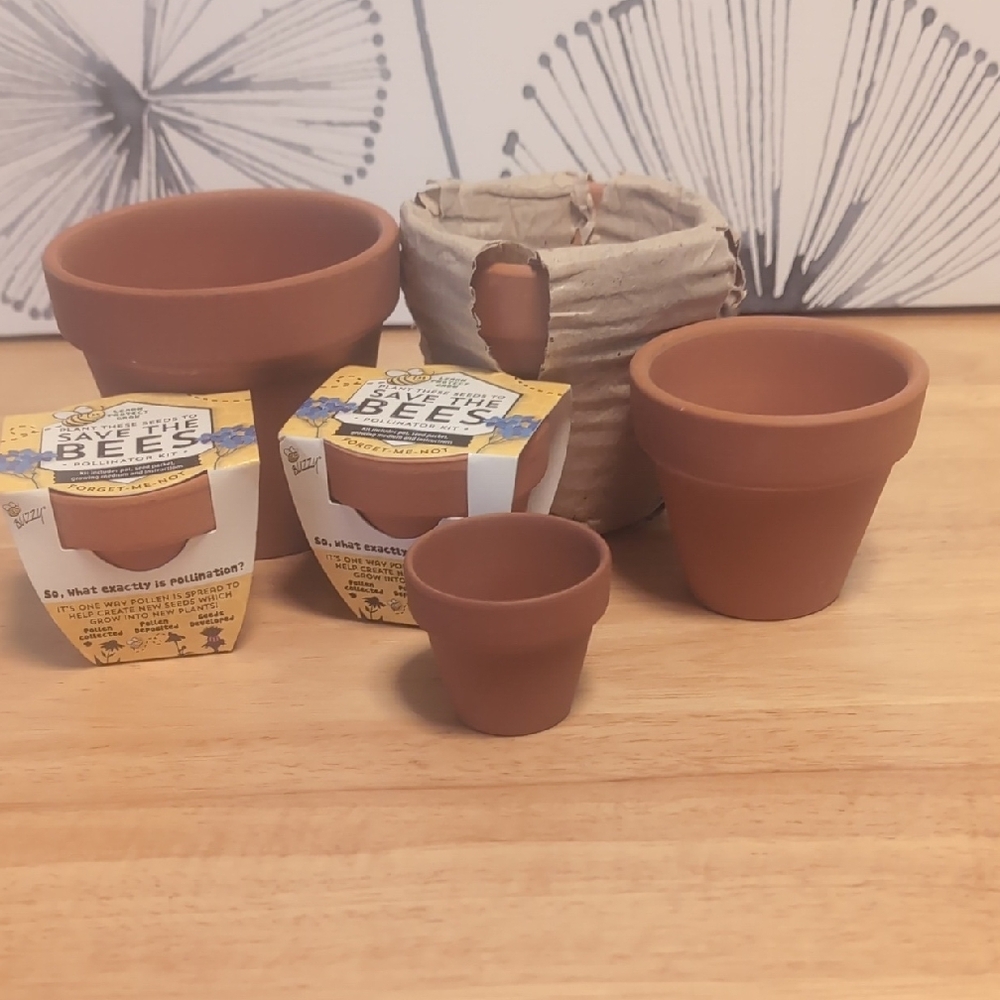 Small Terracotta Plant Pots Set